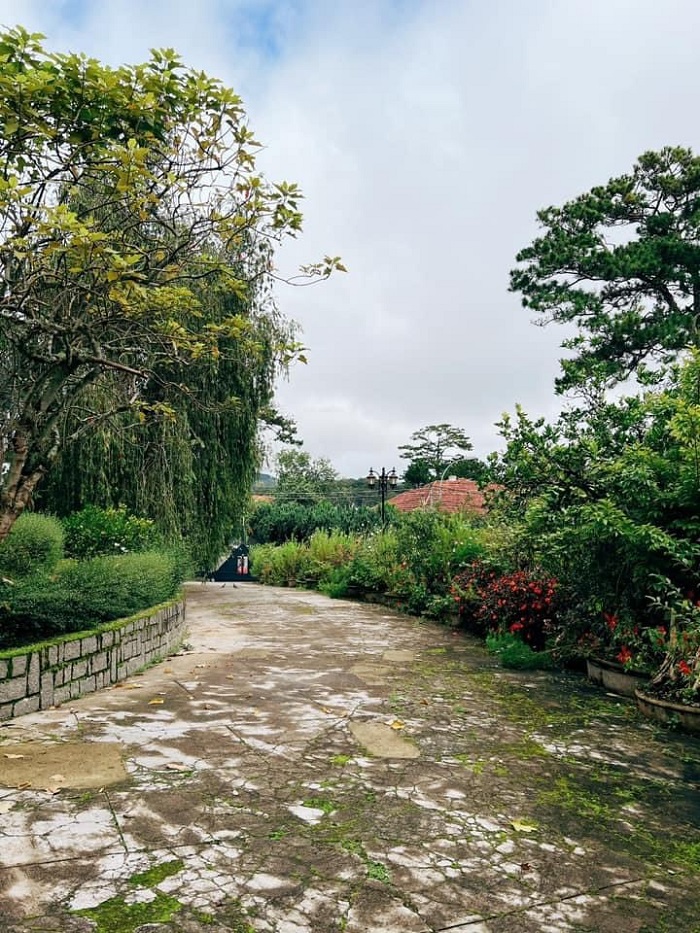 Villa Đà Lạt D542