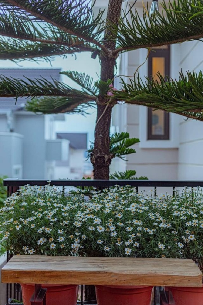 Villa Đà Lạt D293