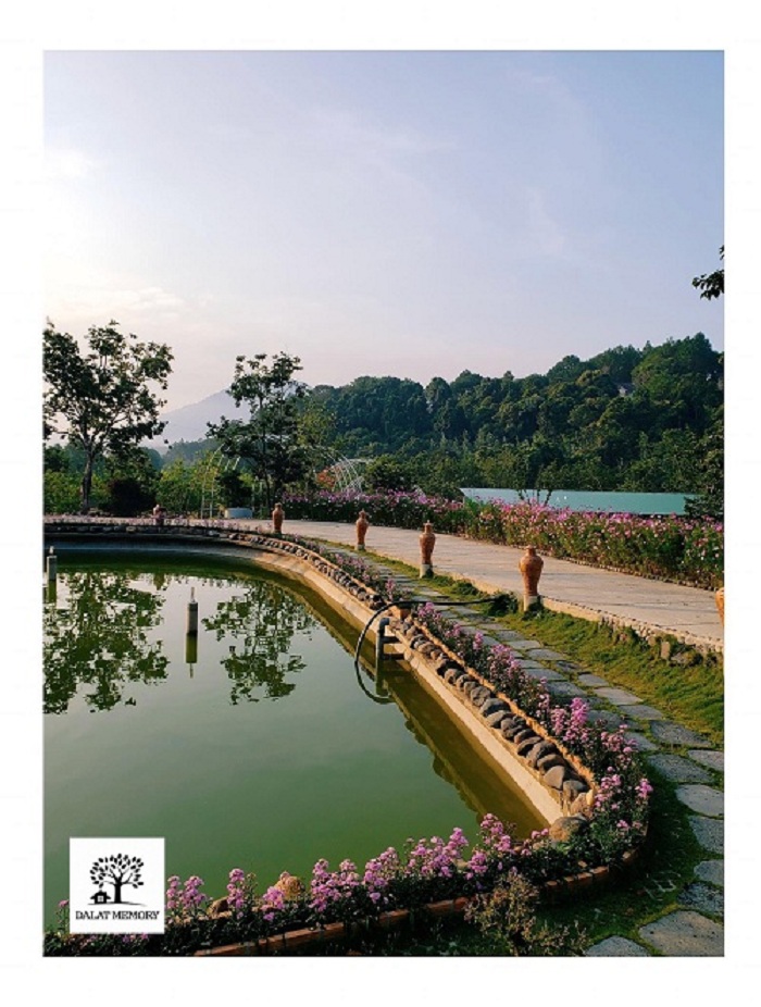 Hồ nước Villa Đà Lạt D053